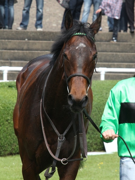 Bult VGH2011   025.jpg